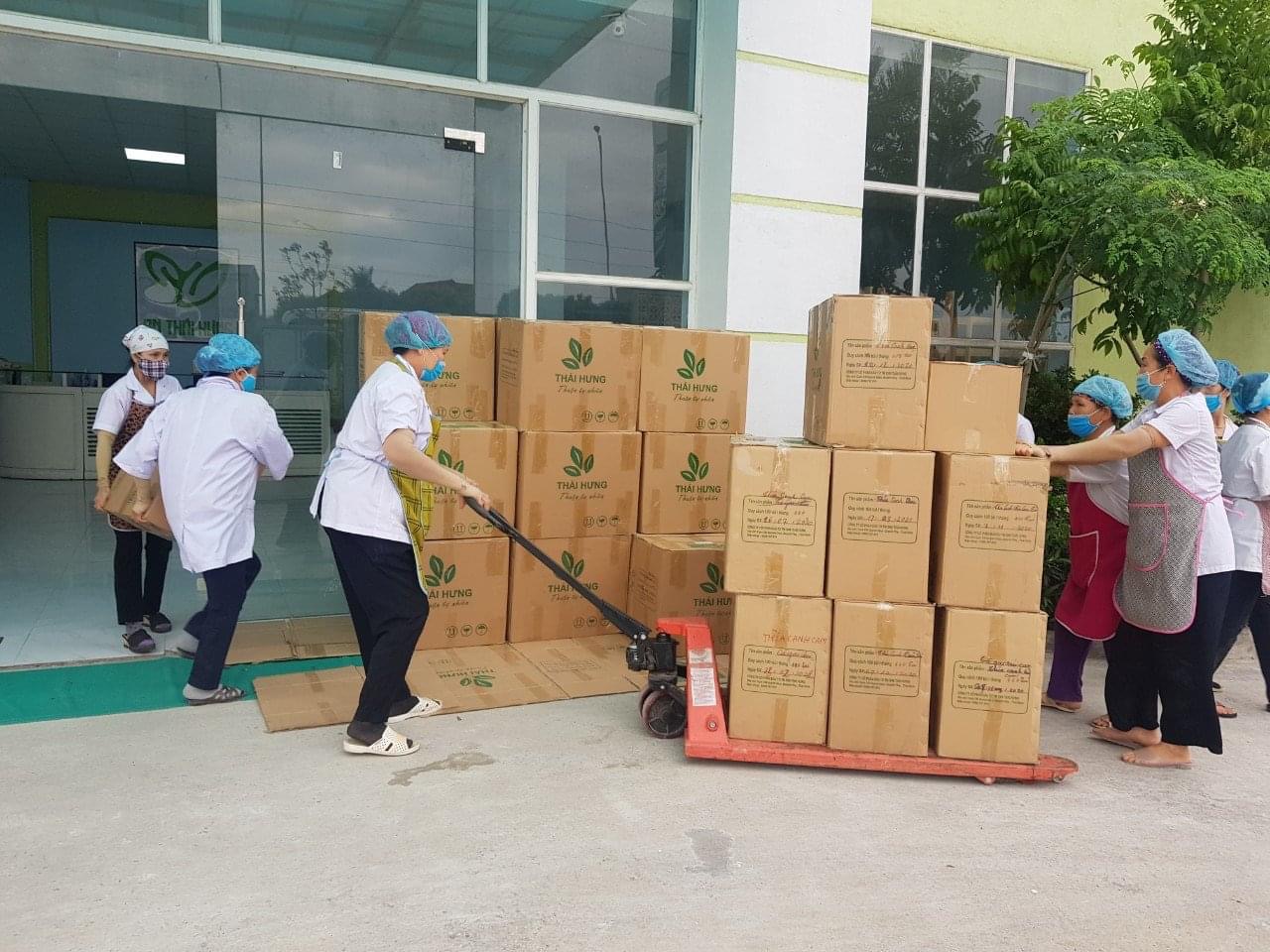 Combo 3 hộp Trà đinh lăng Mộc Can hộp 25 túi lọc