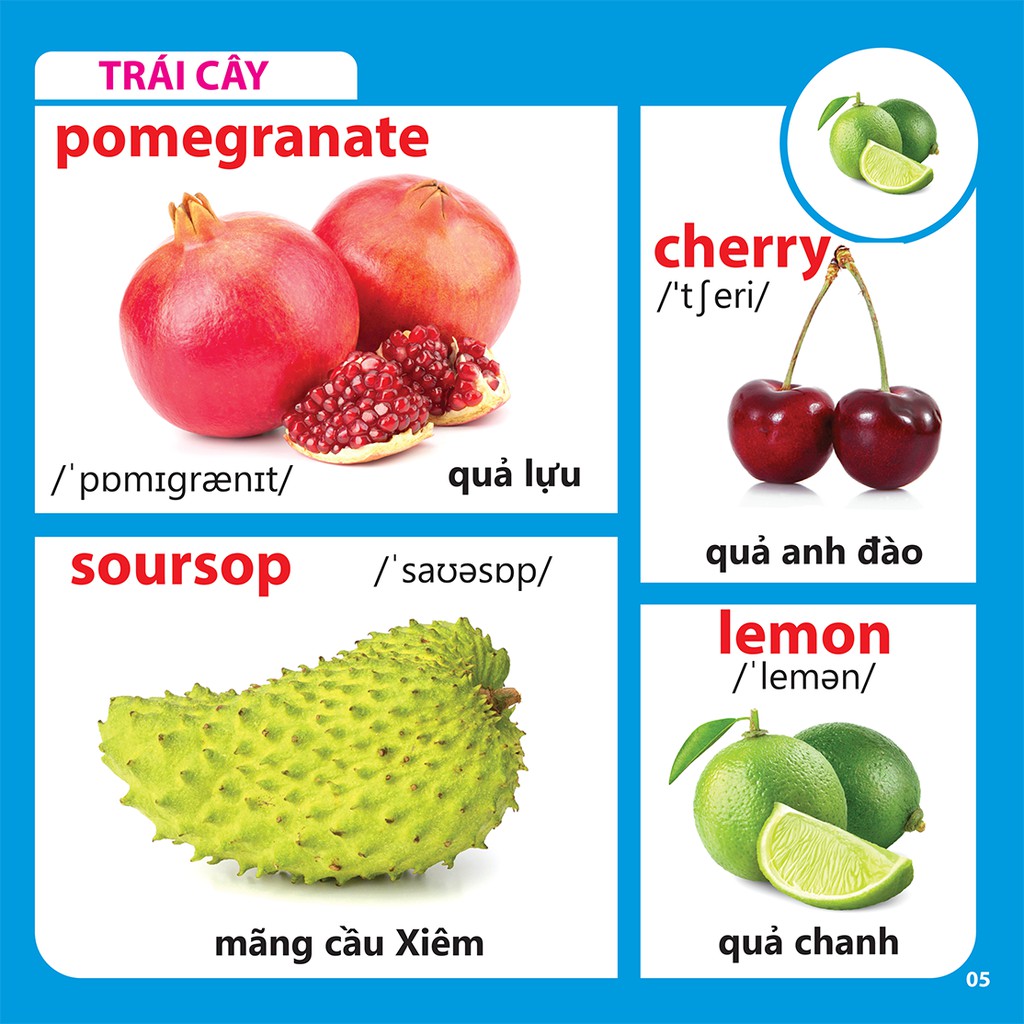 Bách Khoa Toàn Thư Cho Bé - Rau-Củ-Quả (mềm)46k