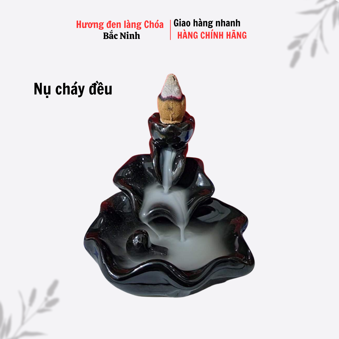 (48 nụ) Nụ trầm hương CAO CẤP