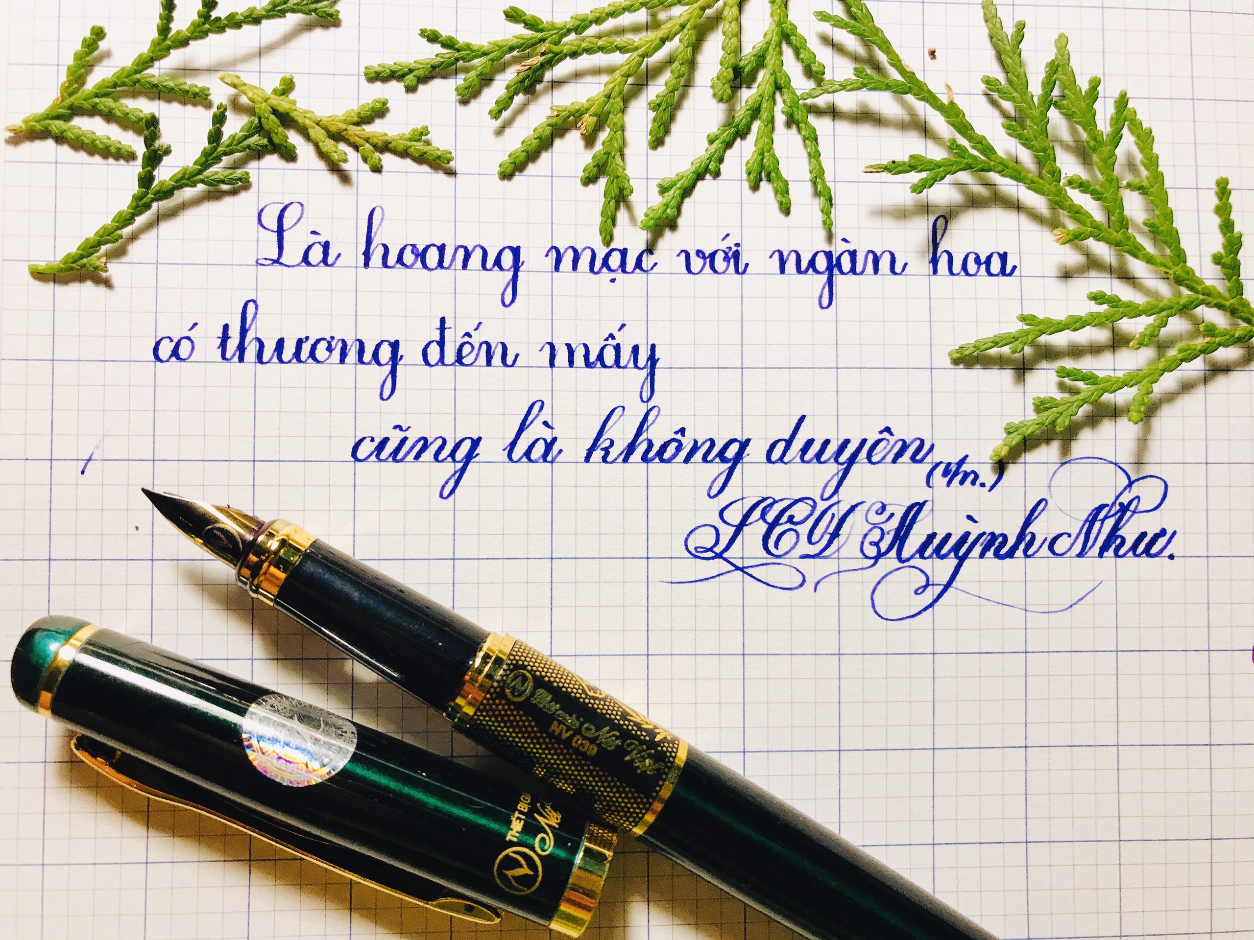 🌸 Bút máy thanh đậm Nét Việt NV039