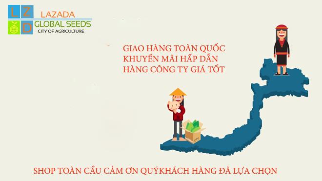 [HCM]Vạn Thọ Pháp Ban Mai-Gói  1g-5g-10g .