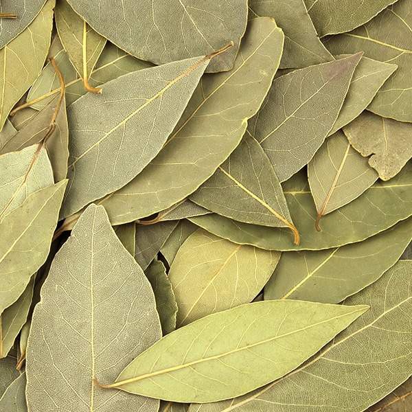 LÁ NGUYỆT QUẾ (LÁ THƠM, BAY LEAF) (200g hút chân không)