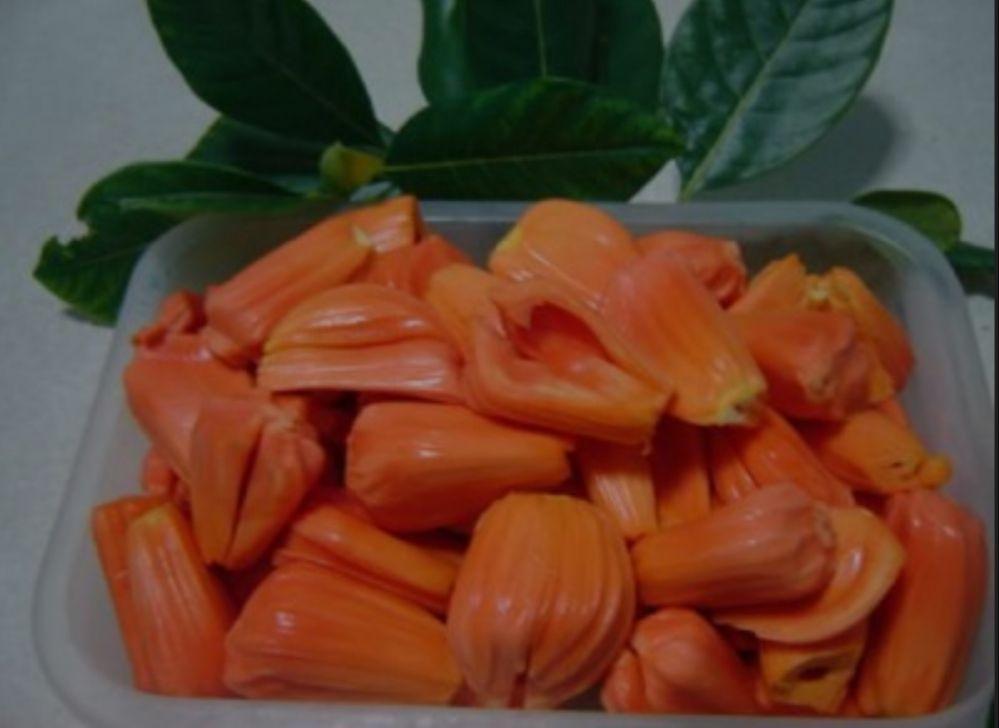 cây mít ruột đỏ sơ đỏ thái lan