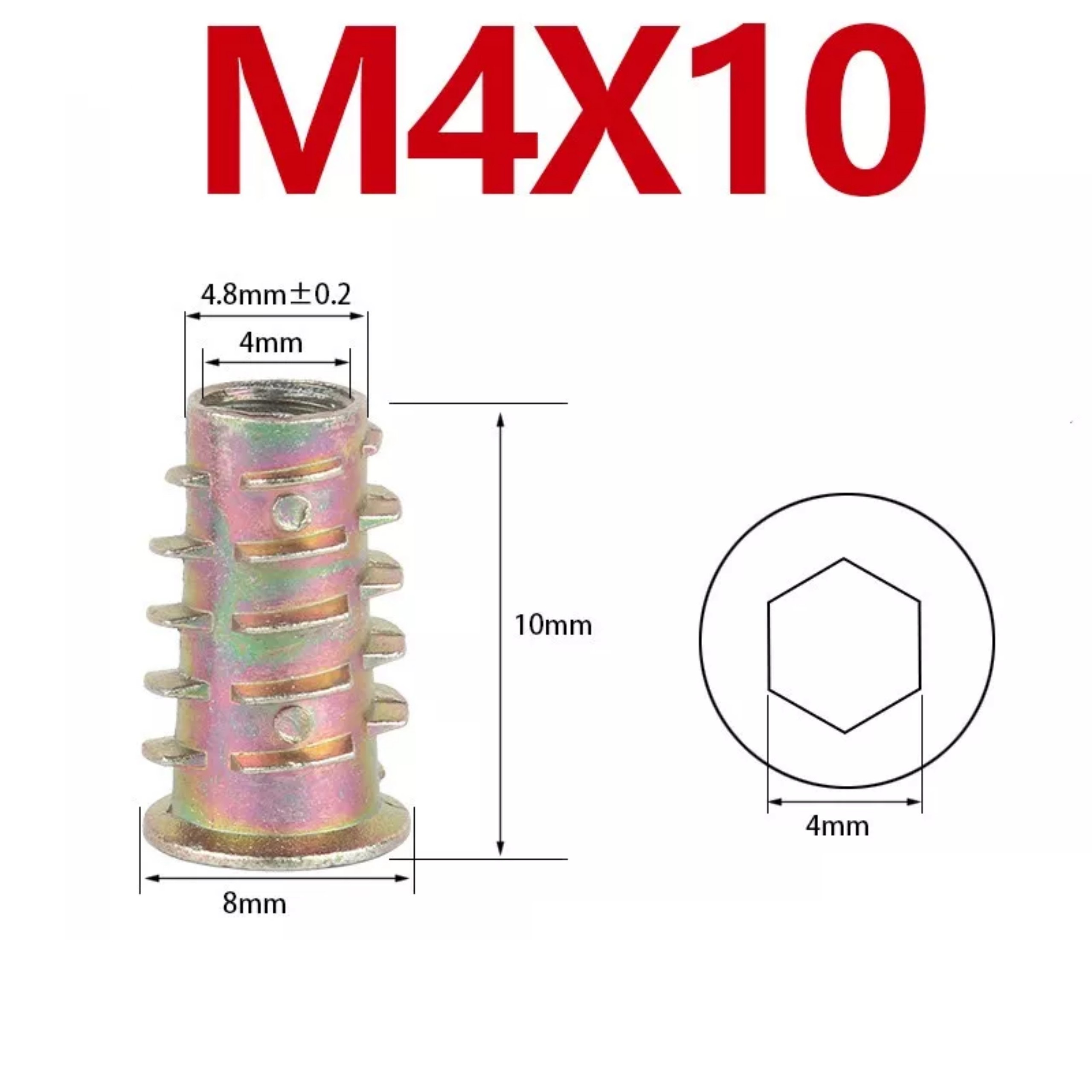 (TÚI 50 CON) ỐC CẤY CÓ TAI, TÁN CẤY GỖ - ỐC CẤY GỖ CÓ VÀNH TYPE D