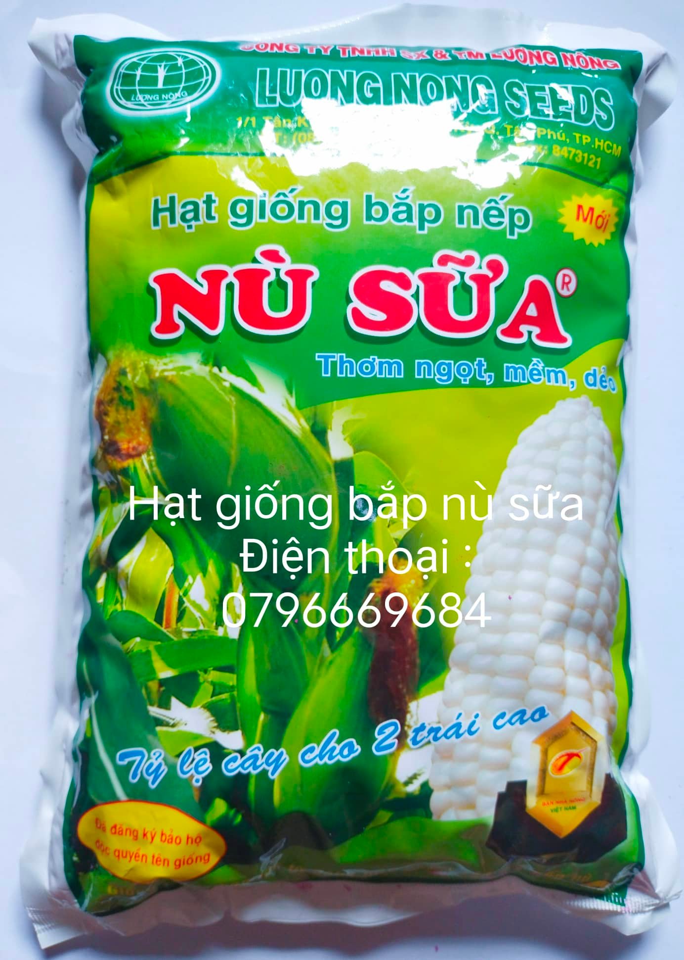 Hạt giống bắp nếp nù sữa gói 1 kg ( tặng kèm 1 gói rau Thái Lan bất kỳ )