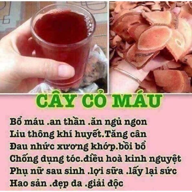 Cỏ máu 1kg