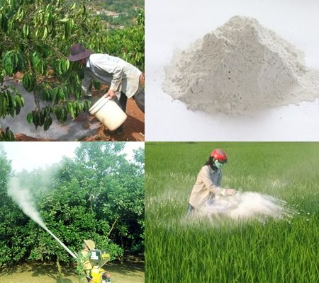 1kg Vôi Bột Xử Lý Đất Trồng