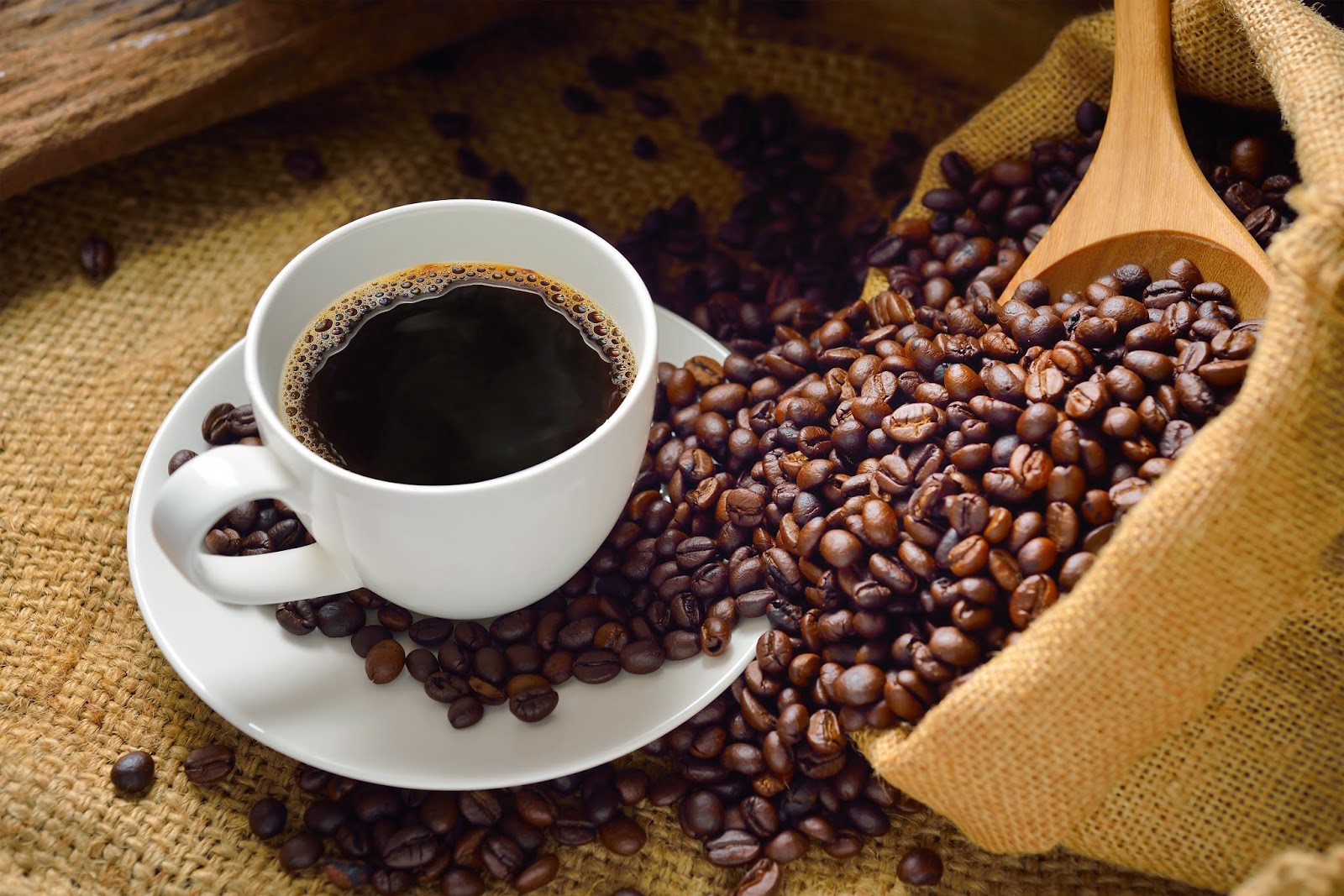 [HCM]500gr Cafe sạch rang mộc xay sẵn.