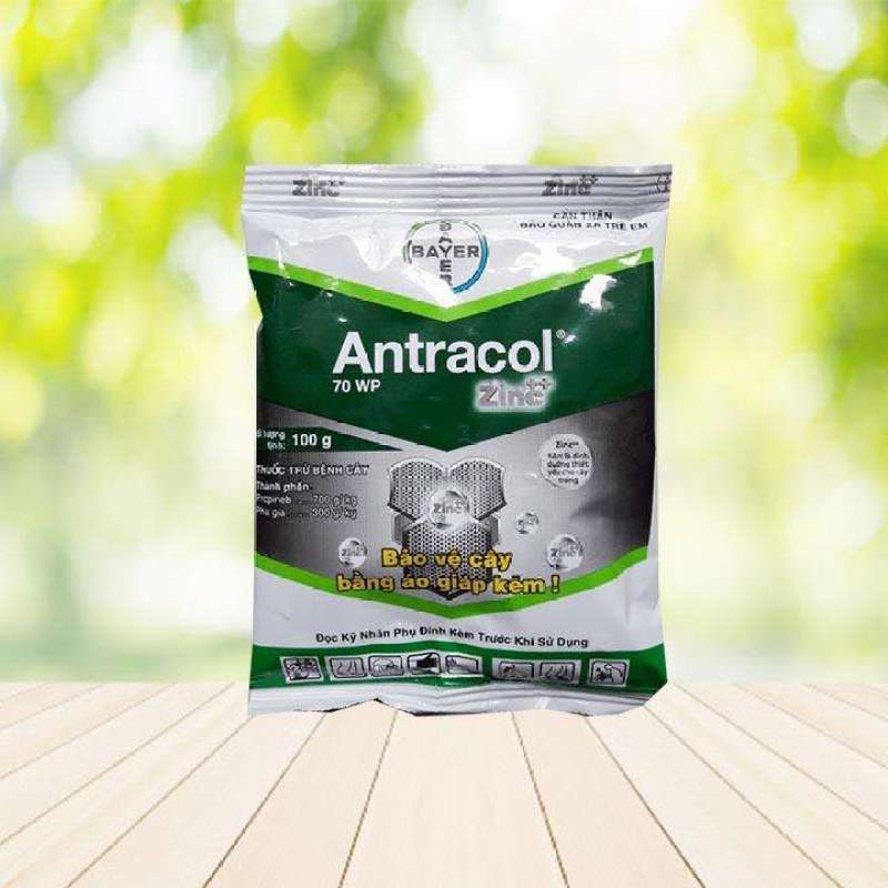 Phòng trừ vàng lá, thối rễ, thối gốc Antracol chuyên dùng cho phong lan, cây cảnh gói 100g