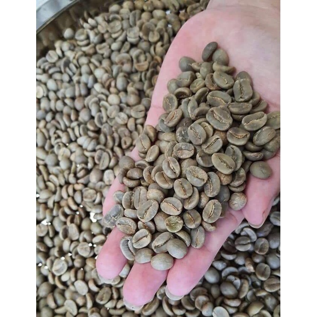 Cà Phê Nhân Xanh Arabica Sàng 16-18 chất lượng tuyệt vời