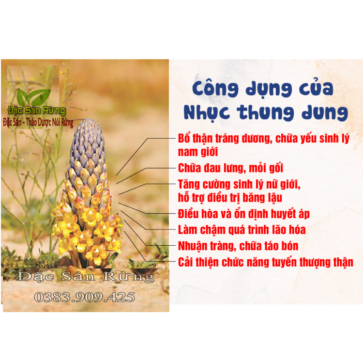 Nhục Thung Dung Khô ( 1kg )  - Tăng Sinh Lý