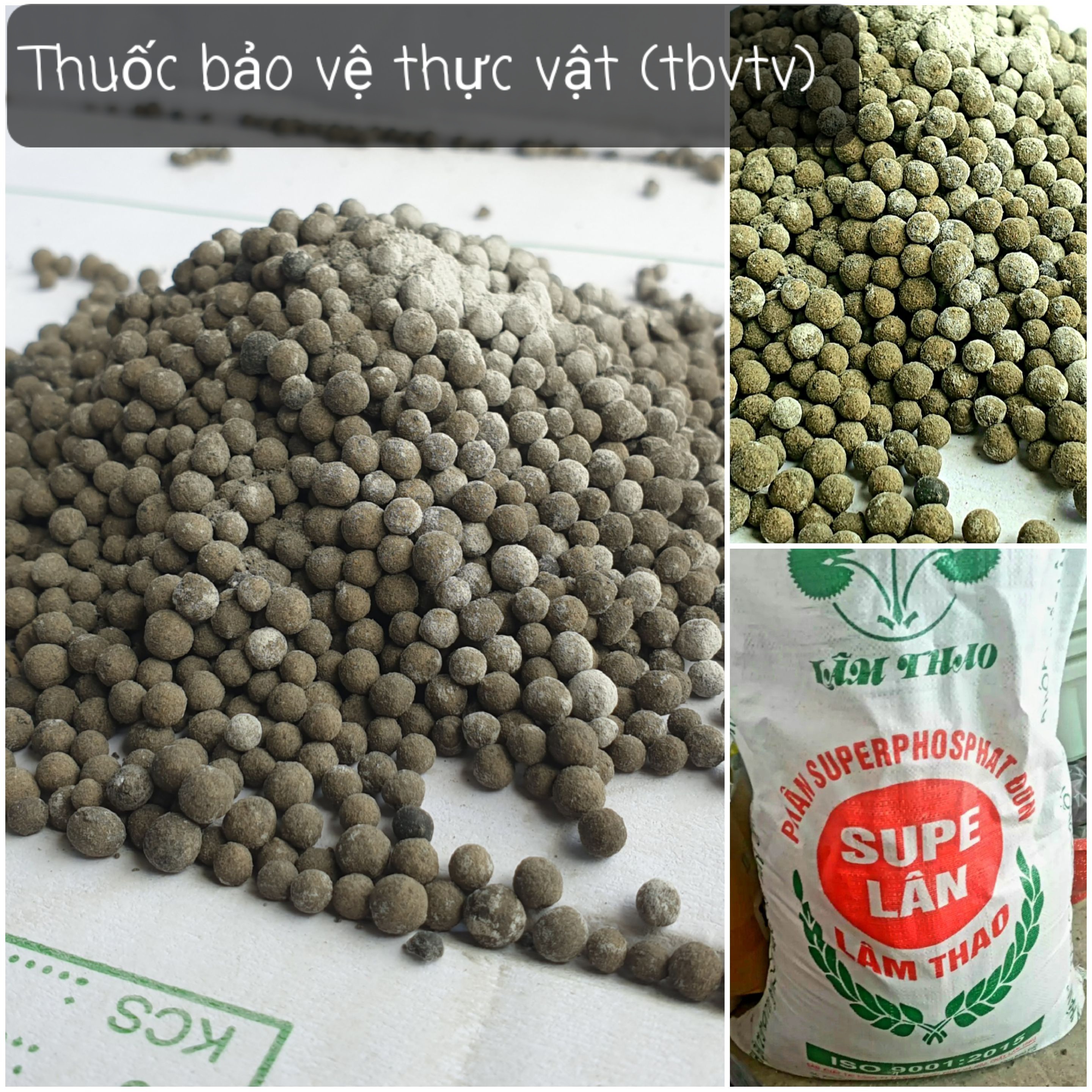 (1kg) Lân SUPER - Giúp giải độc đất, phát triển bộ rễ, giúp đất hạ phèn.. Lân SUPER Viên Lâm Thao