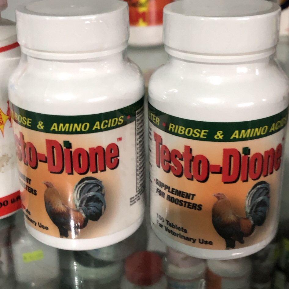 Testo Dione hộp 100v