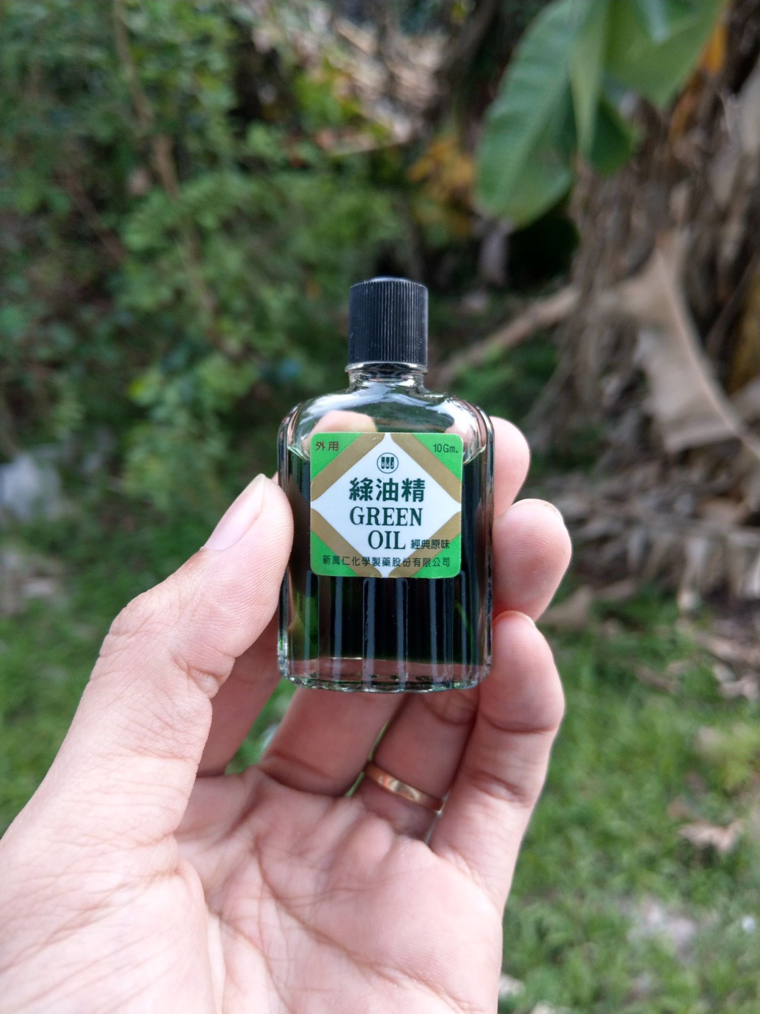 1 Lốc Dầu Gió Xanh Đài Loan 10g