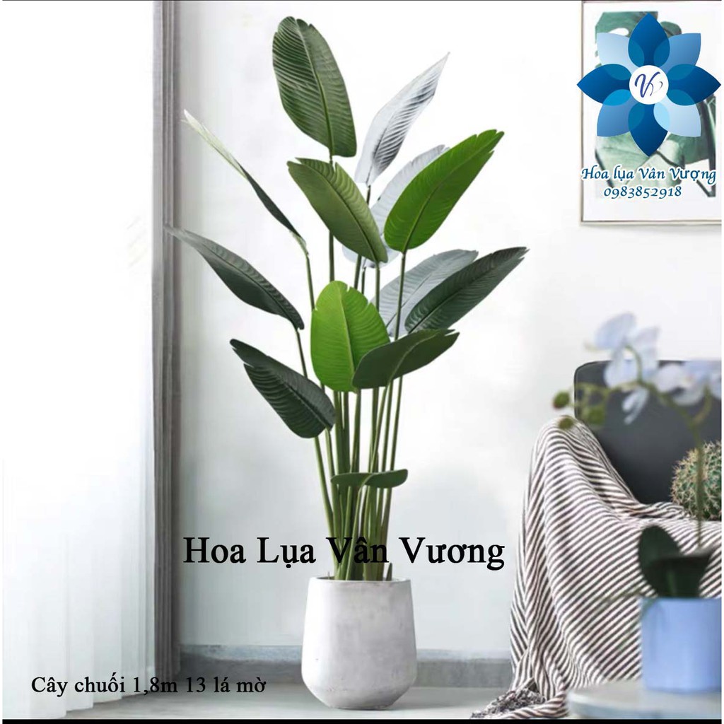 Cây Giả 🌺 Cây Chuối Cảnh Lá Mờ