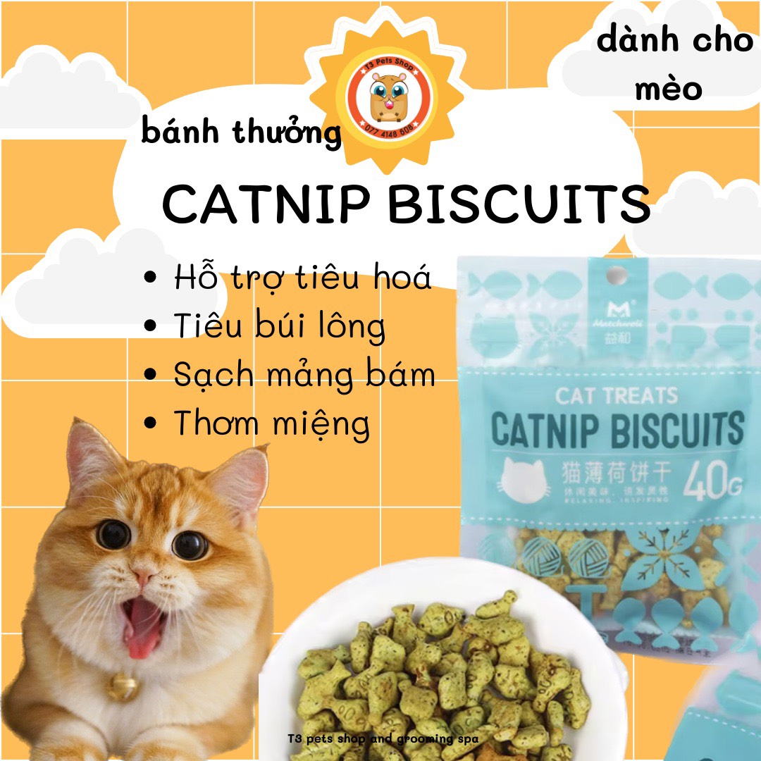 Thưc ăn bánh cỏ catnip 40gr dành cho mèo