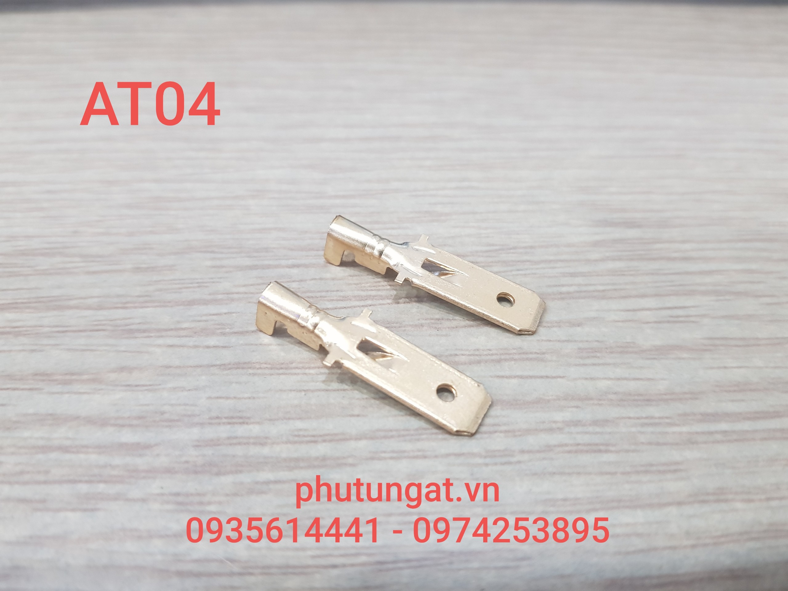 [HCM]Cos Đực Ghim 6.3 - AT04 ( 1 bịch/50 cái)