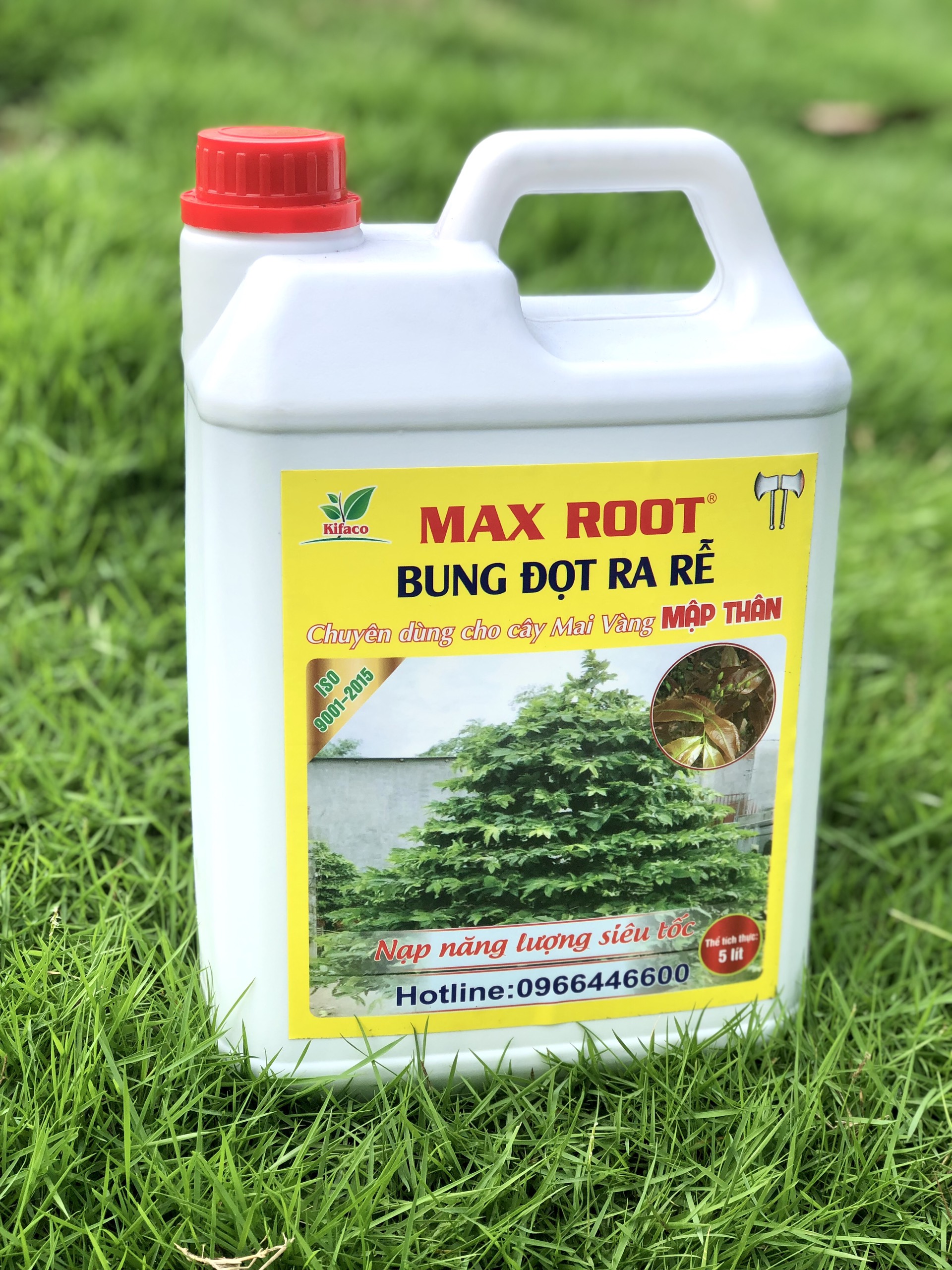PHÂN BÓN MAI VÀNG - MAX ROOT BUNG ĐỌT RA RỄ MAI CAN 5L