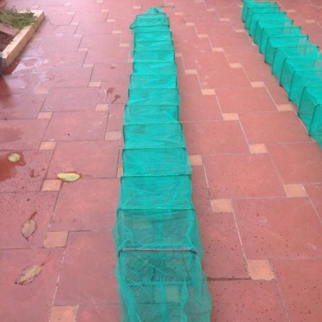 Lồng Bát Quái Bắt Tôm Cua Cá - hàng chất lượng