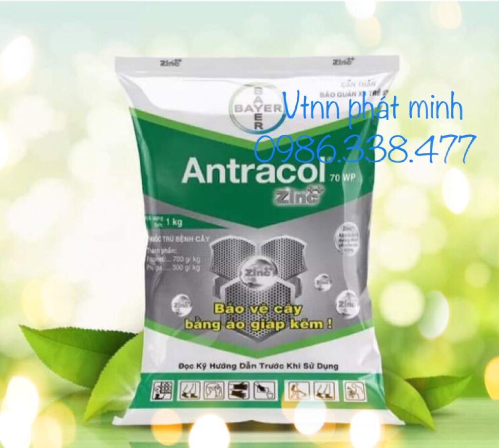 Thuốc trừ bệnh Antracol 70WP 1kg