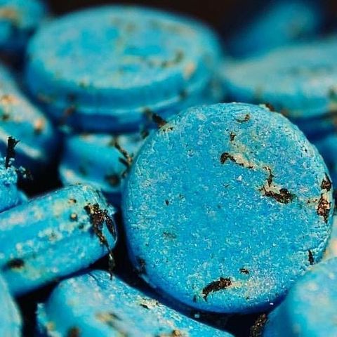 [HCM]Bánh dầu gội Seanik shampoo bar - LUSH