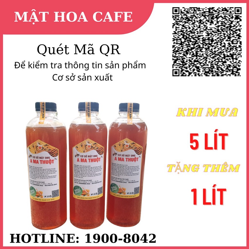 MẬT ONG HOA CÀ PHÊ THƯỢNG HẠNG A MA THUỘT