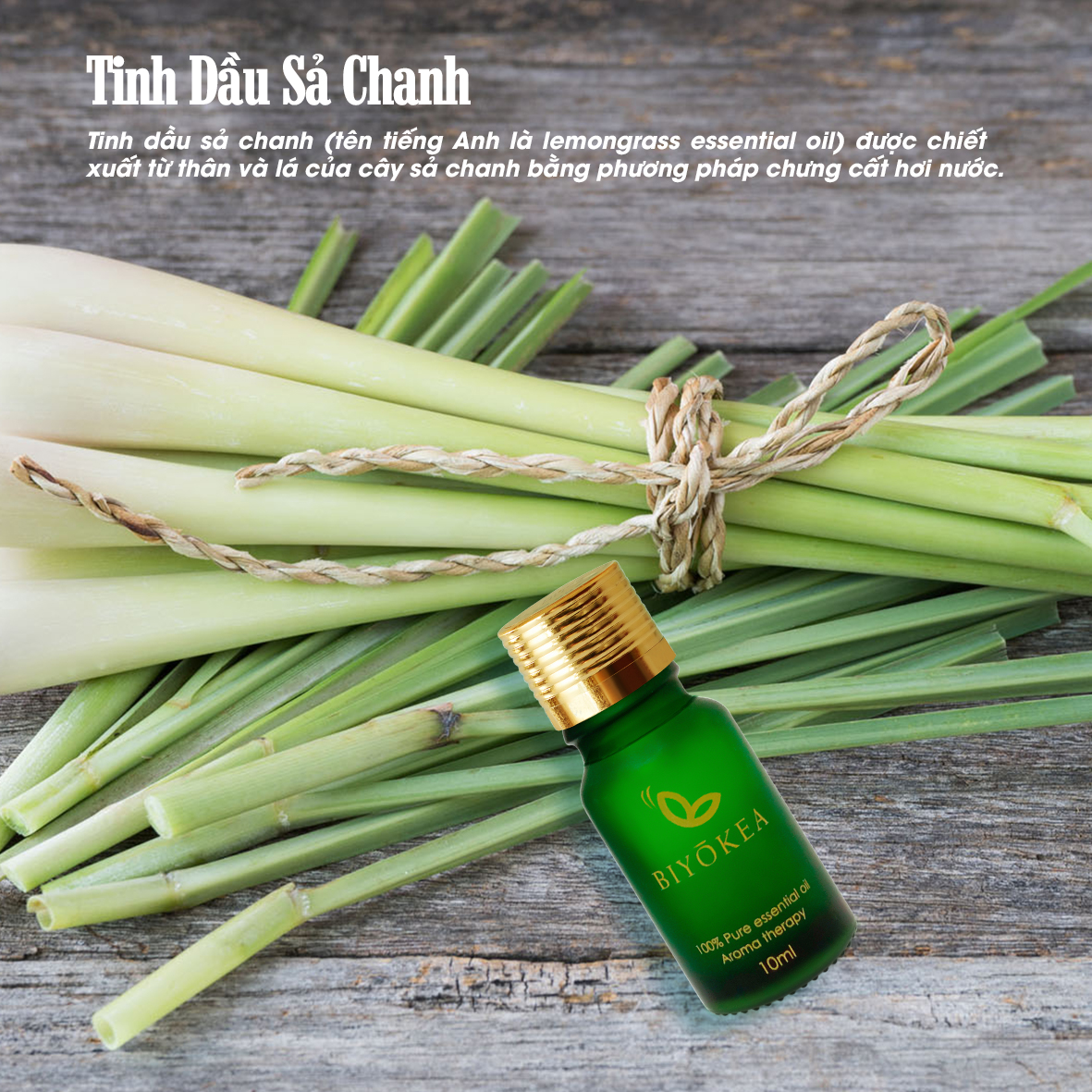 Tinh Dầu Sả Chanh Biyokea (10ml)