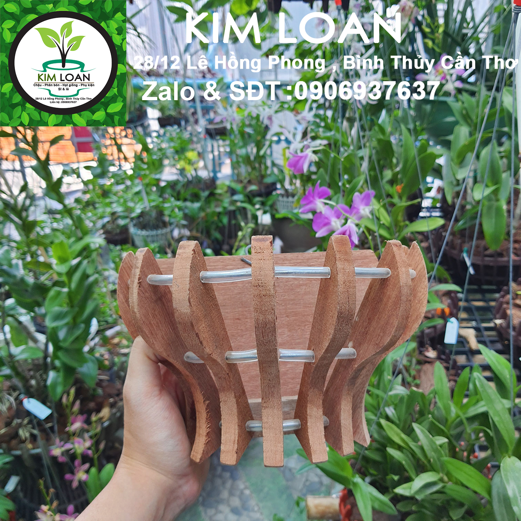 Chậu lan gỗ ốp tường