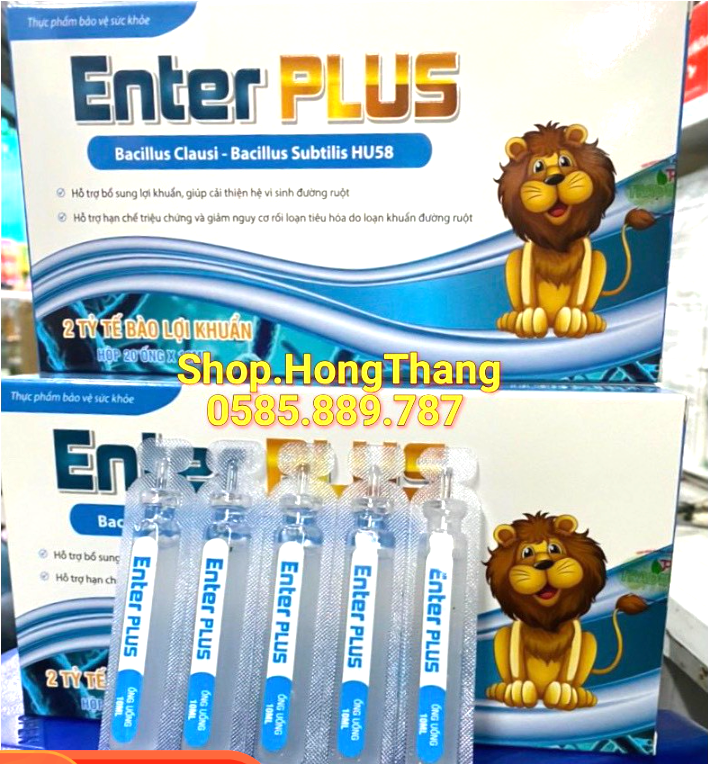 Men tiêu hoá Enter plus sư tử cân bằng vi khuẩn đường ruột, giúp hấp thụ và tiêu hóa tốt hơn, bổ sung vi khuẩn có lợi ống