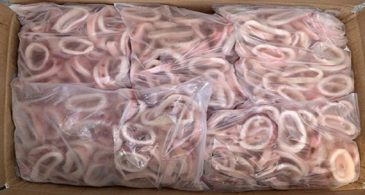 [CHỈ GIAO HỎA TỐC HCM] - MỰC VÒNG TÚI 1KG