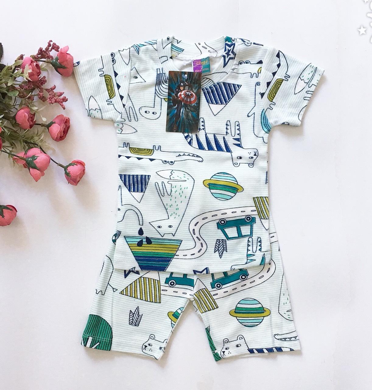 [HCM]Bộ đồ thun bozip bé trai (kèm bảng Size hình cuối)