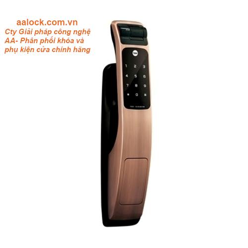 Khóa điện tử Yale YMG40- khóa vân tay cao cấp- khóa cửa thông minh- NPP AALock