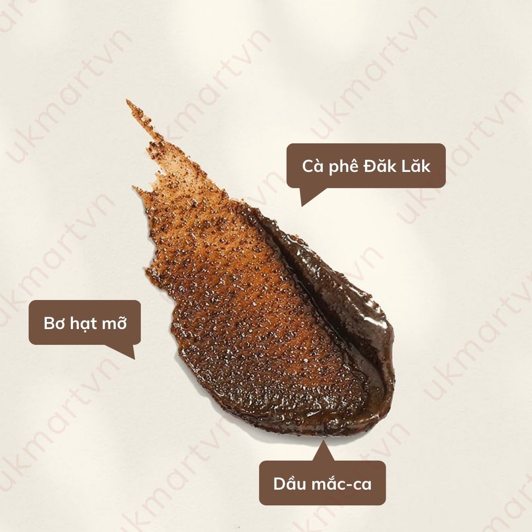 Tẩy da chết môi cà phê Đắk Lắk Cocoon môi ẩm mềm 5g