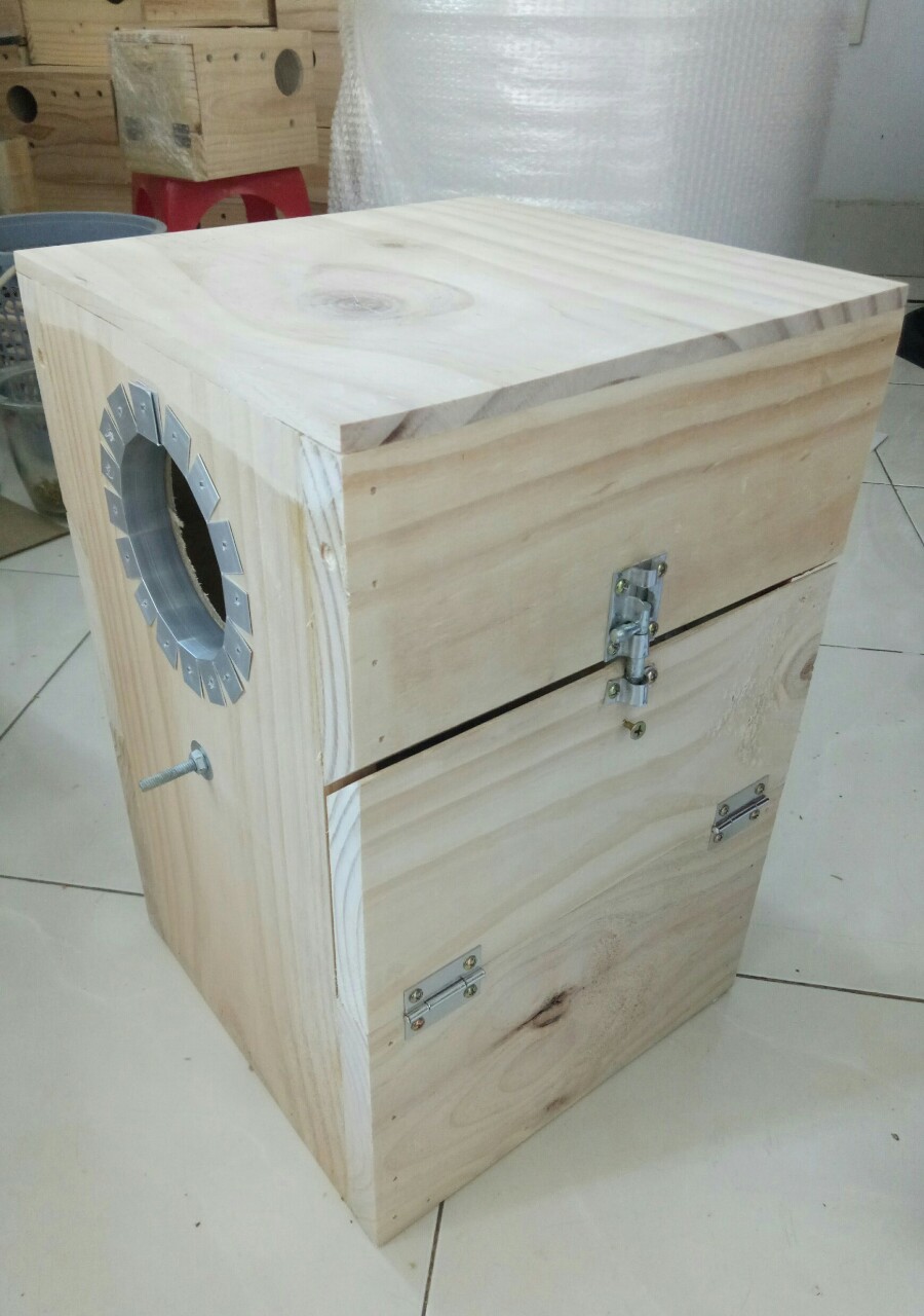 [HCM]TỔ CHO VẸT SUN CORUNES...