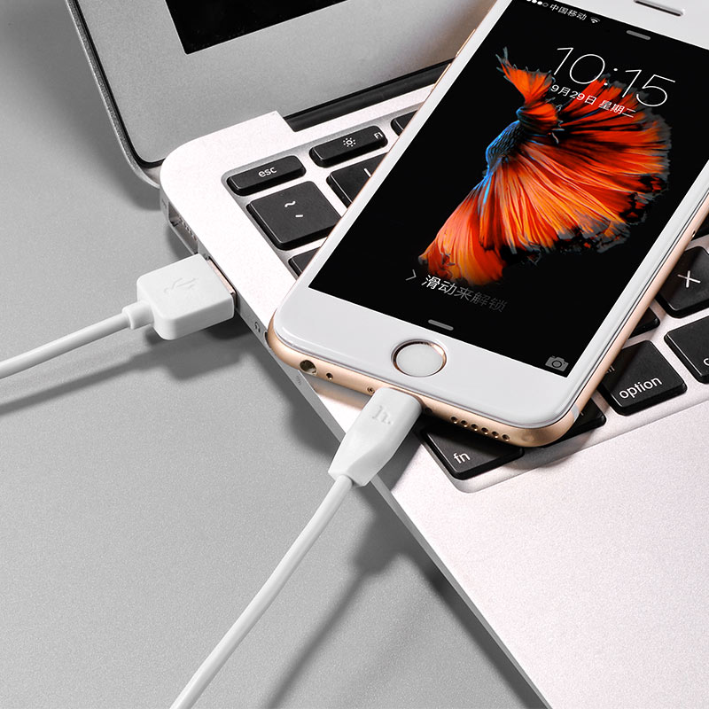 Cáp Sạc Lightning Hoco X1 1m Cho iPhone - Hàng Chính Hãng (Trắng)