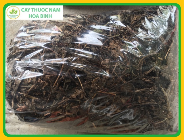 [GIÁ BUÔN] 1kg cây mã đề khô thơm sạch