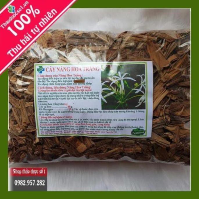 Cây náng hoa trắng Khô 1kg
