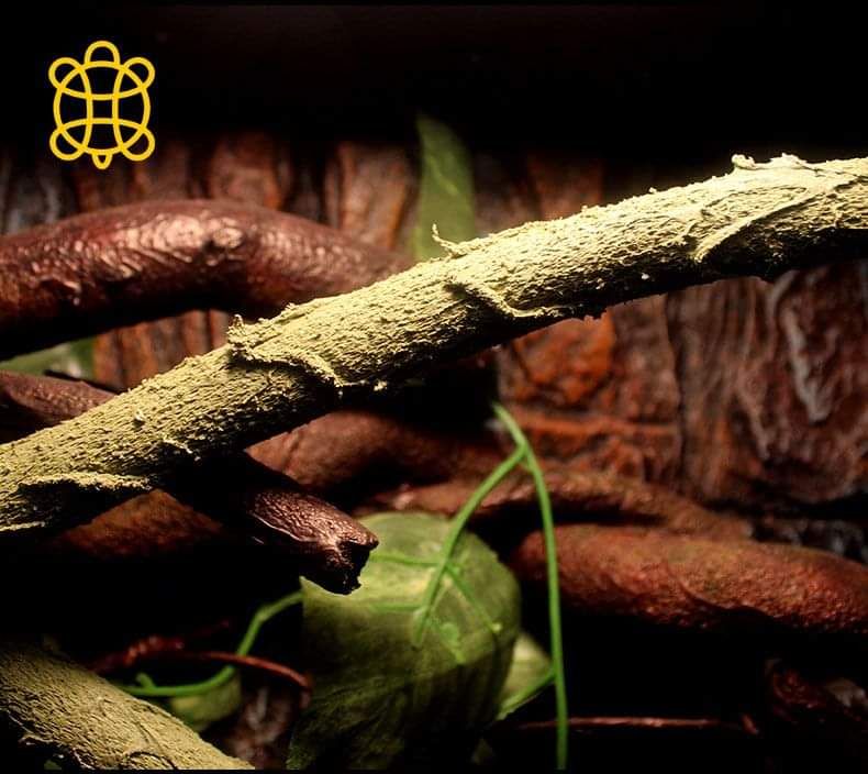 Dây leo trang trí chuồng bò sát