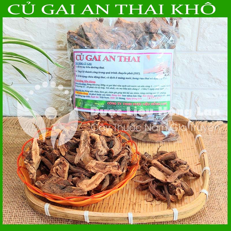 ✅ 500G Củ Gai An Thai khô ( Giúp an thai cho bà bầu và hỗ trợ chuyển phôi IVF, tin vui cho các mẹ hiếm muộn)