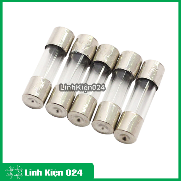 Bộ 10 chiếc cầu chì ống 5x20mm 250v đủ loại