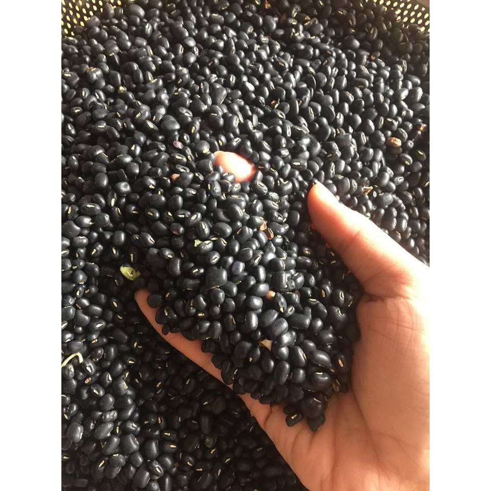 1Kg Đỗ Đen Quê Nhân Xanh Siêu Ngon , Siêu Sạch