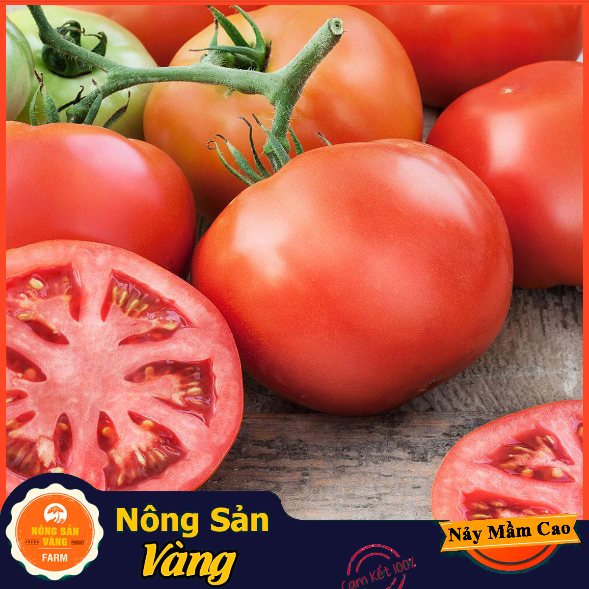 Hạt giống Cà Chua Đỏ Quả To F1, Dễ Trồng, Năng Suất Cao (Gói 50 Hạt) - Nông Sản Vàng