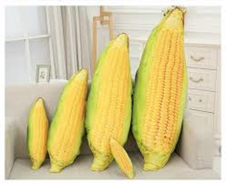 gối ôm hình trái bắp 3d ( kích thước 60 đến 85cm )