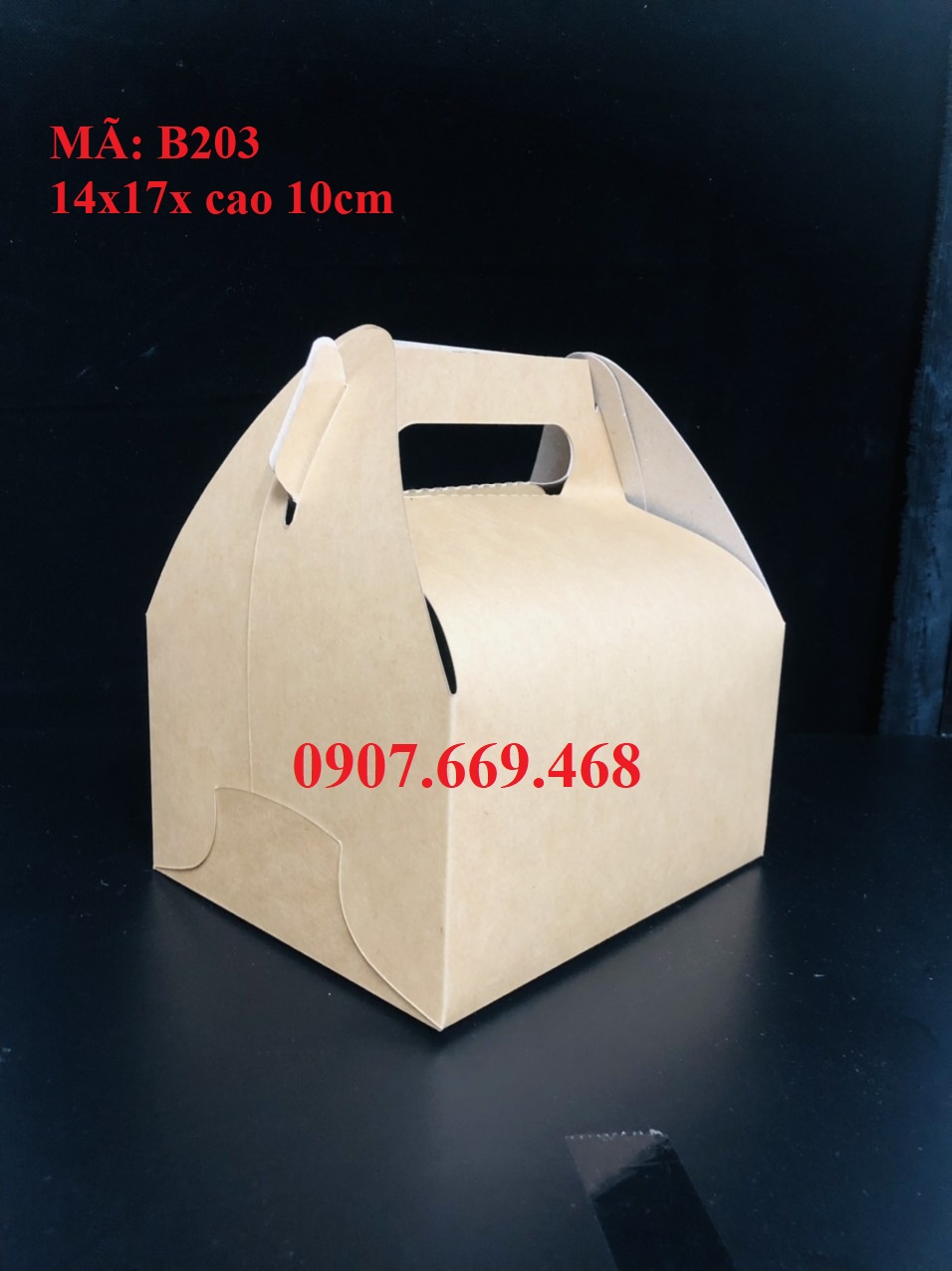 HỘP GIẤY TAKEAWAY QUAI XÁCH 100 cái/đơn
