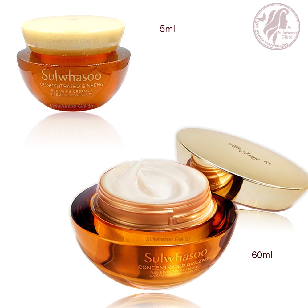 Kem dưỡng nhân sâm chống lão hóa, tái tạo da Sulwhasoo Concentrated Renewing EX Gingseng 5ml, 10ml sulwhasoogiasi