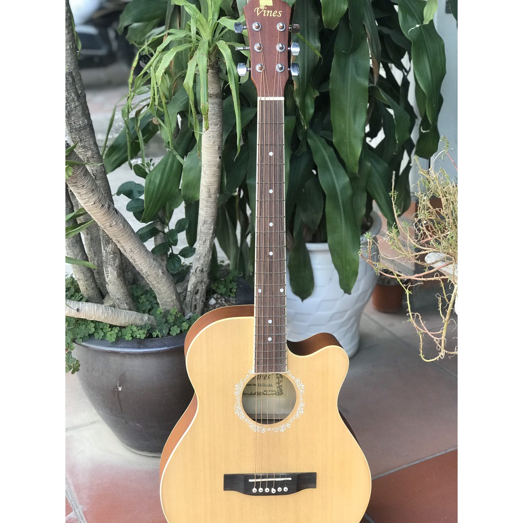 Đàn Guitar Acoustic Vines VA3940N - Sol.G