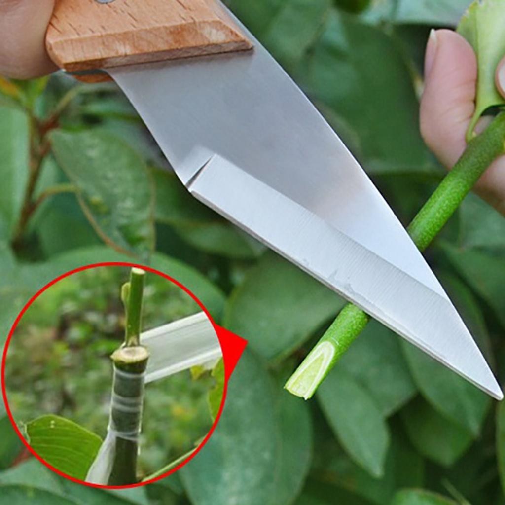 Dao cắt ghép cành cán gỗ siêu bén, không rỉ