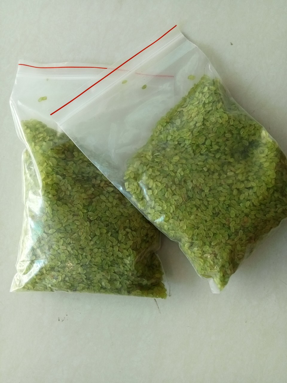CỐM NẾP KHÔ ,CỐM NẾP NON DẺO THƠM, CỐM TỰ NHIÊN,CỐM TÚ LỆ 1KG