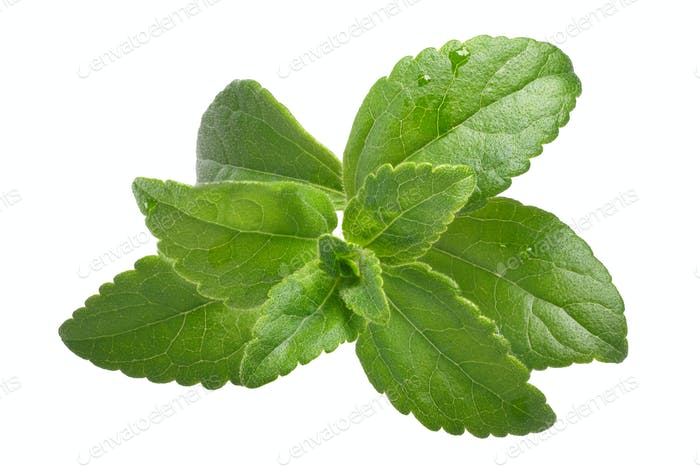 Gói 5  hạt giống Cỏ Ngọt Stevia