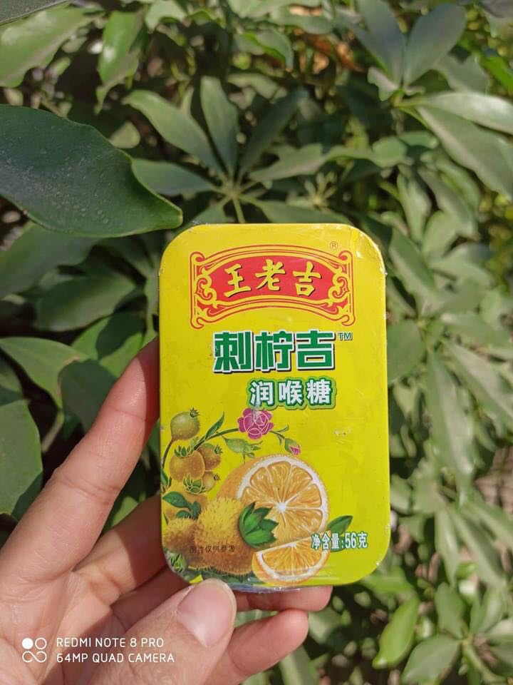 Kẹo ngậm thảo dược Run Hou Tang